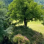 Il Nocciolo *