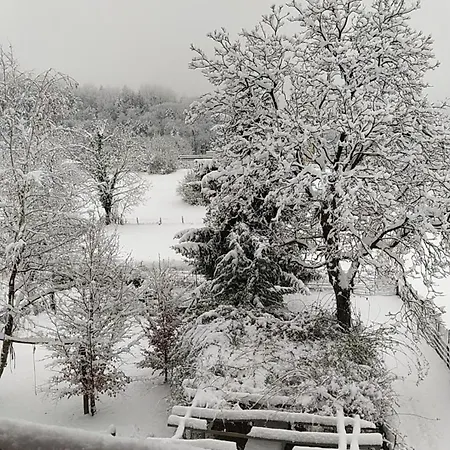 Il Nocciolo Apartmán *