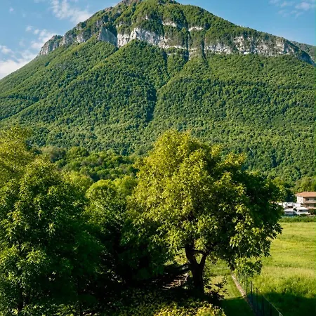 Il Nocciolo Apartament