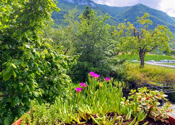 Διαμέρισμα Il Nocciolo *