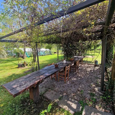 Il Nocciolo Appartement *