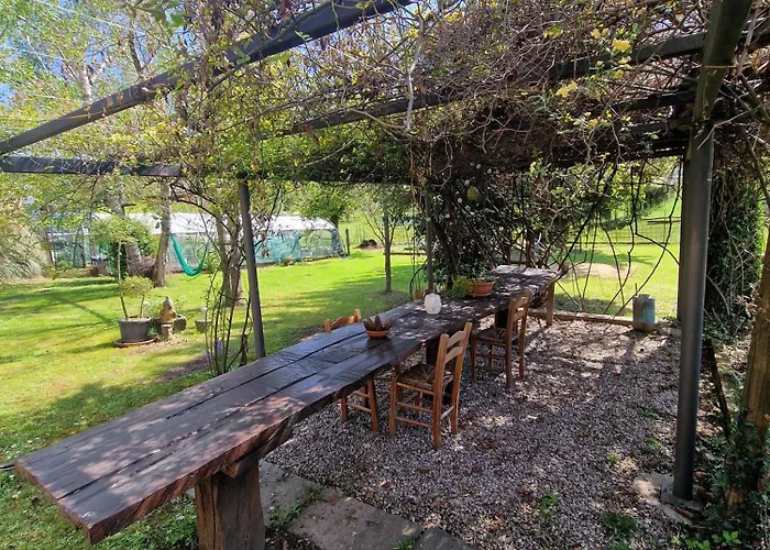 Il Nocciolo Appartement *
