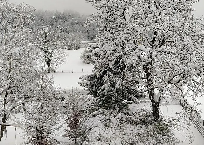 Il Nocciolo Апартаменты *