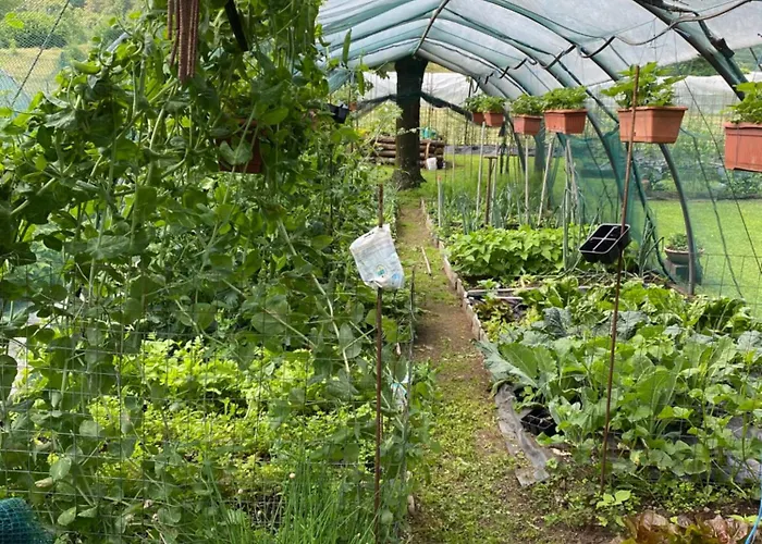 Il Nocciolo Апартаменты *